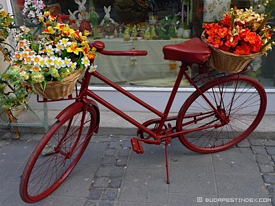 Trips from Budapest. Gyor
