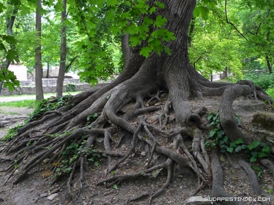 Budapest. Margit Island