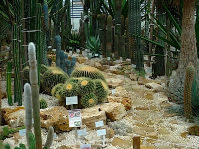 Botanical Garden in Vácrátót