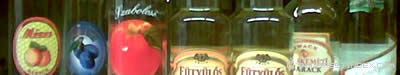 Palinka Festival 2006