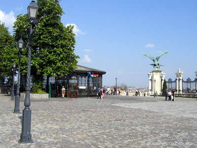 Turul