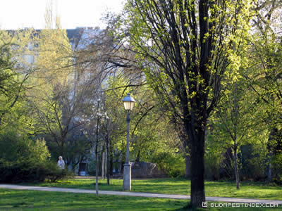 Spring in Budapest