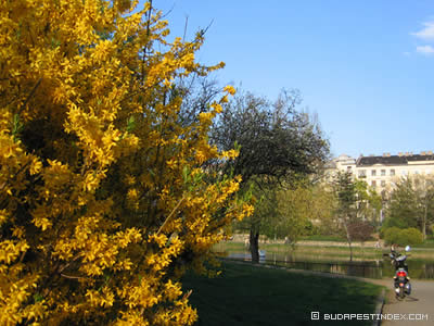 Spring in Budapest