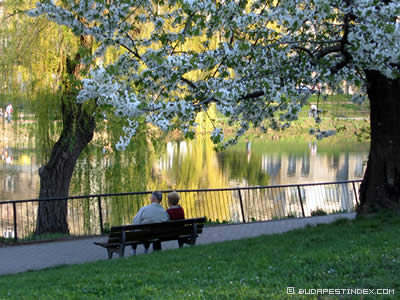 Spring in Budapest