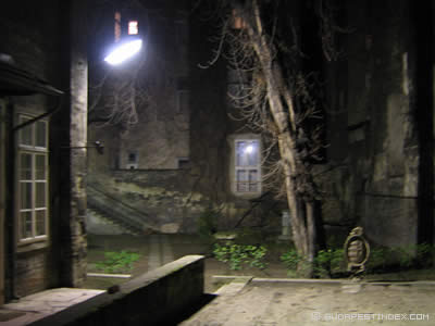 The Night Yard