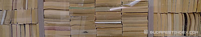 Budapest. Books. Treehugger Dan's