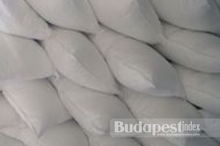 Pillow Fight Pillow Fight