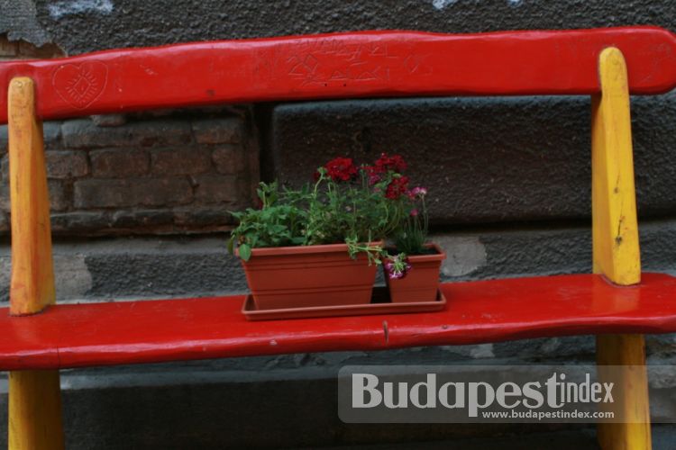 Pedal Cafe, Budapest