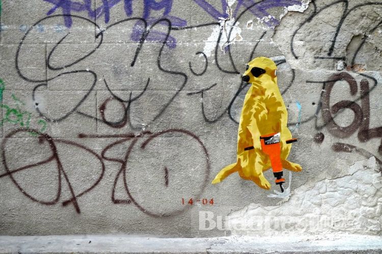 This meerkat has been seen around the city on the crumbling walls. Budapest Street Art