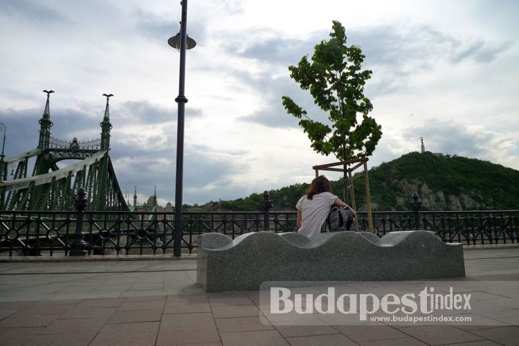 Modern and curvy addition to Budapest bench-scene at the Liberty Bridge. Not the best option for stout figures, but its granite gets nicely warm in the sun. Plus, the view of Gellert Hill. Liberty Bridge, Budapest