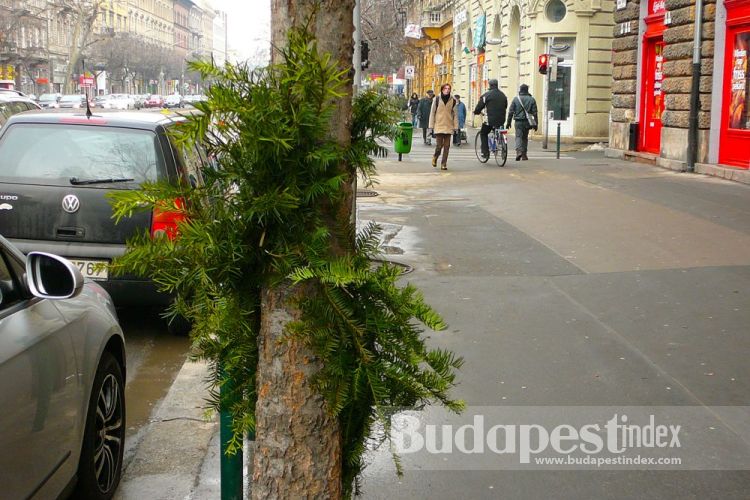 Budapest Streets