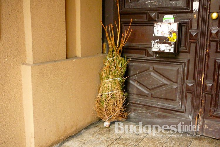 This one looks like it was punished. Budapest Streets