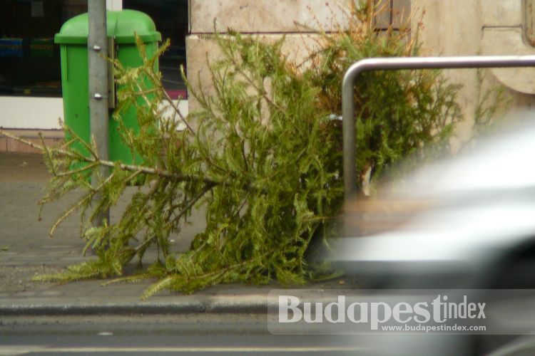 Budapest Streets