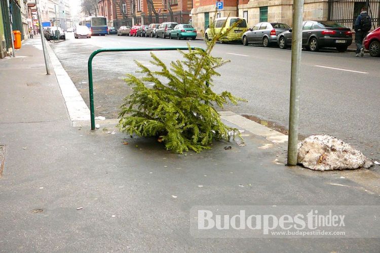 Sure signs of winter in the city: abandoned Christmas tree and a little pile of dying snow. Budapest Streets